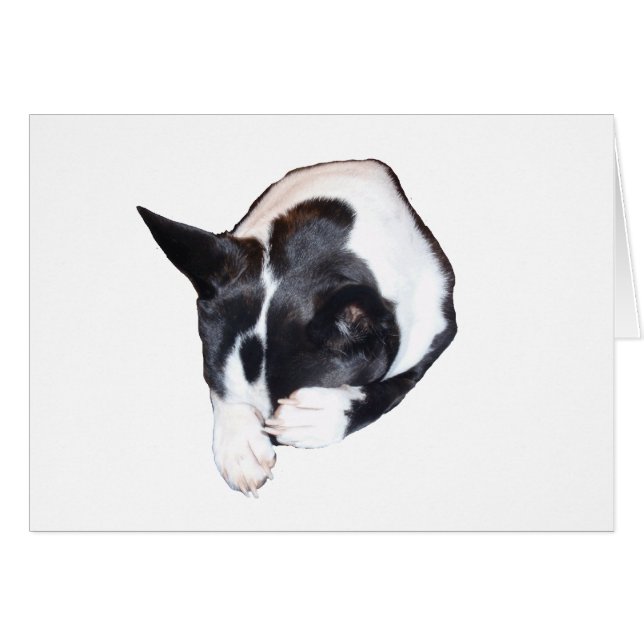 Piper - Spipande Hälsningskort (Framsidan Horizontal)