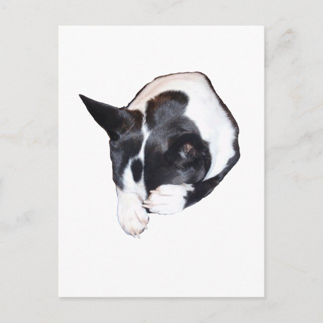 Piper - Spipande Vykort (Framsida)