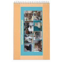 PipersPuddycats 2020 kalender
