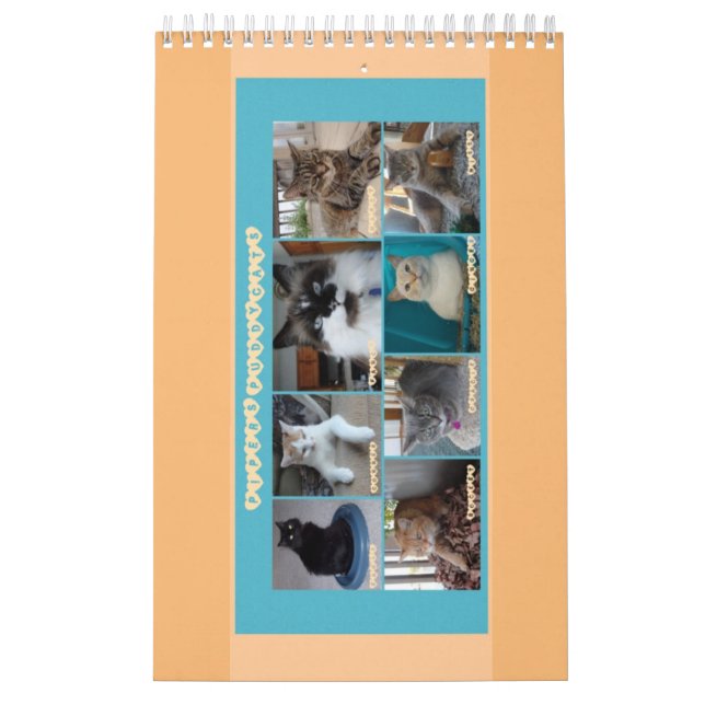 PipersPuddycats 2020 kalender (Omslag)