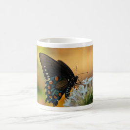 Pipevine Swallowtail Butterfly Kaffemugg