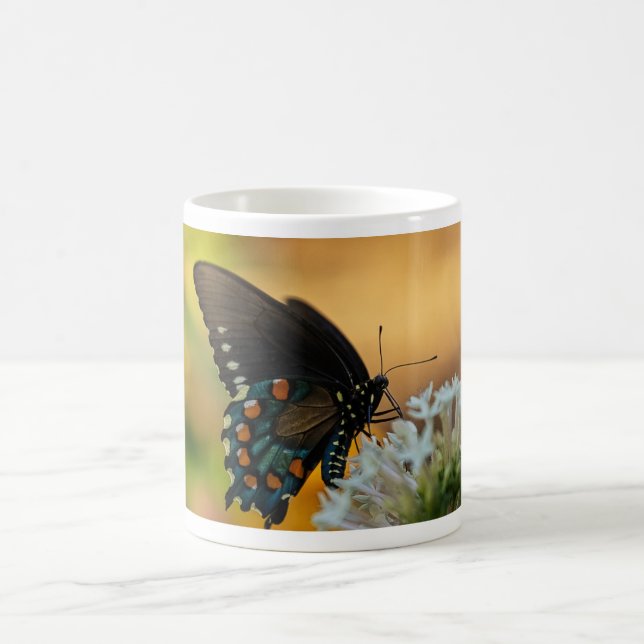 Pipevine Swallowtail Butterfly Kaffemugg (Center)