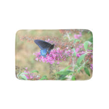 Pipevine Swallowtail on Butterfly Bush