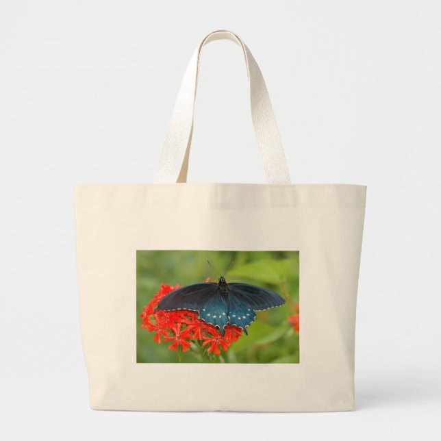 pipevineswallowtail jumbo tygkasse (Framsidan)