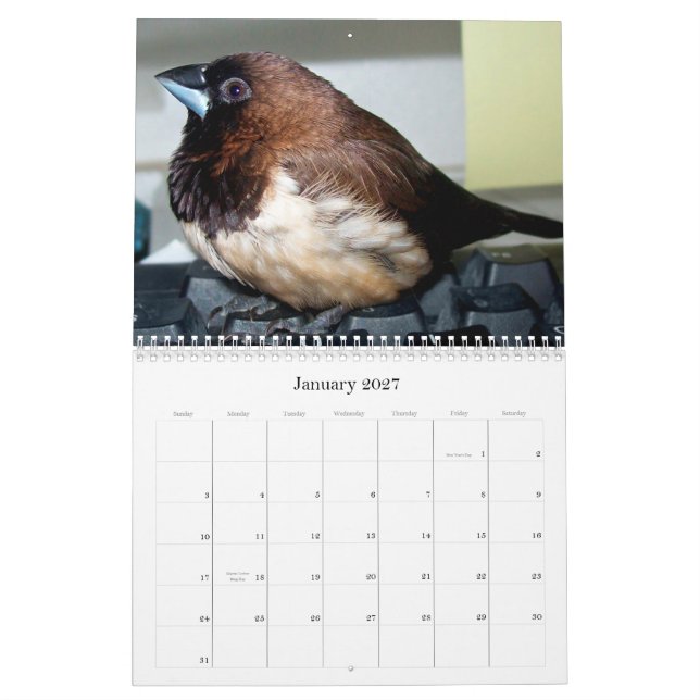 Pipi den förtjusande finchen kalender (Jan 2027)