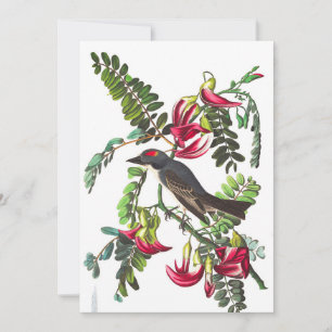 Piping Flycatcher av John James Audubon Inbjudningar