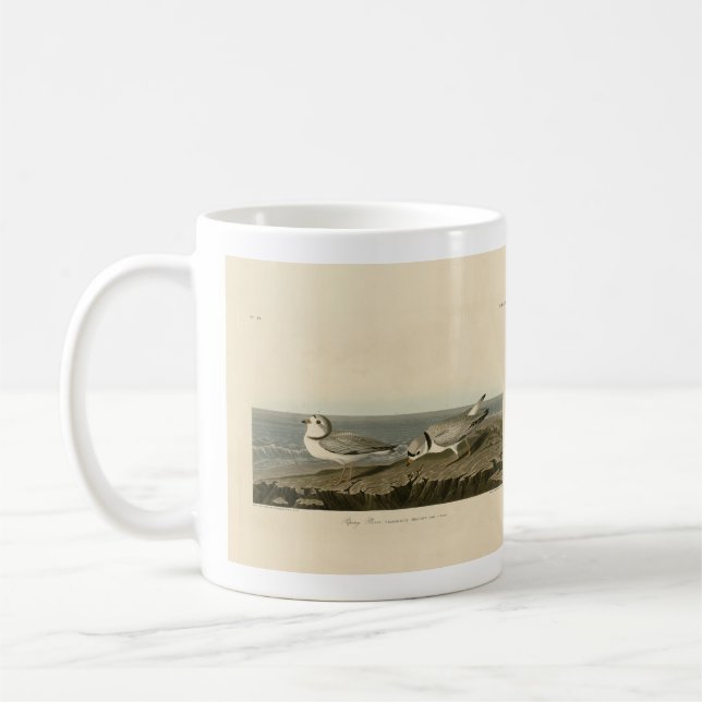 Piping Plover från Audubon's Birds of America Kaffemugg (Vänster)