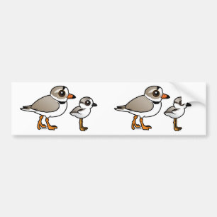 Piping Plover med unge Bildekal