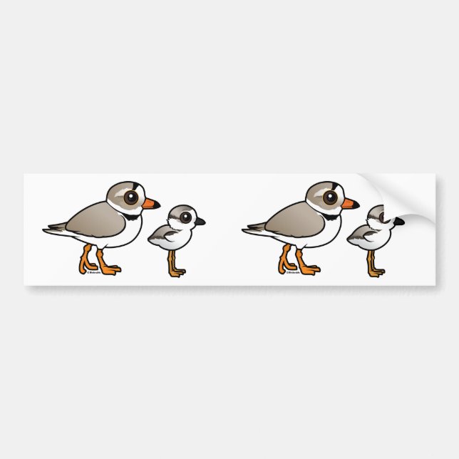 Piping Plover med unge Bildekal (Framsidan)