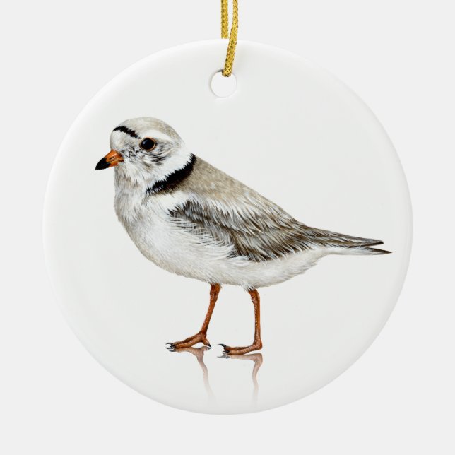 Piping Plover Ornament (Framsidan)