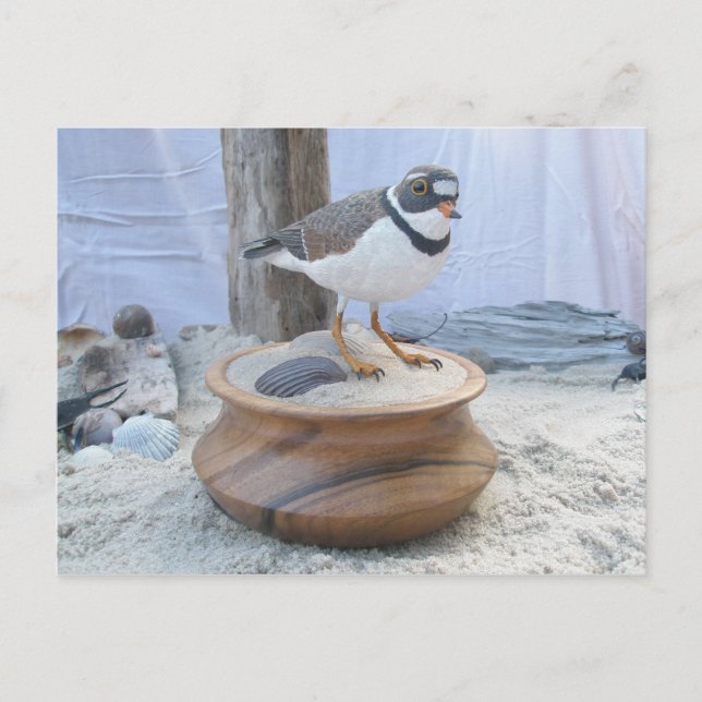Piping Plover Woodcarving Postcard Vykort (Framsida)