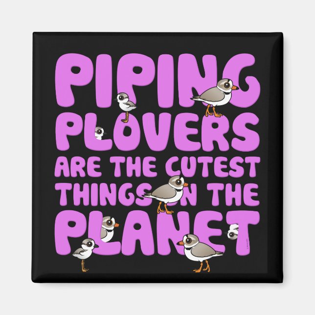 Piping Plovers är den kutaste Saken på planeten Magnet (Framsidan)