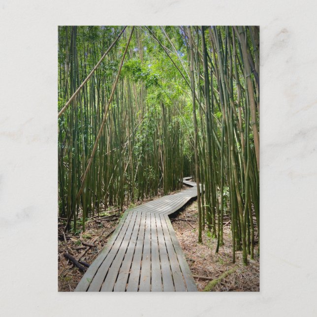 Pipiwai Trail, Haleakala nationalpark, Maui Vykort (Framsida)