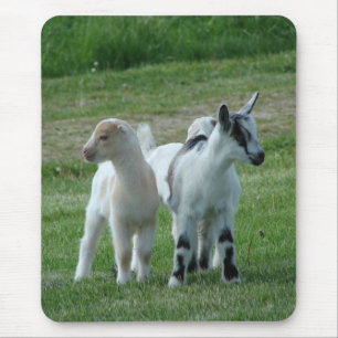 Pippi och Grått Musmatta