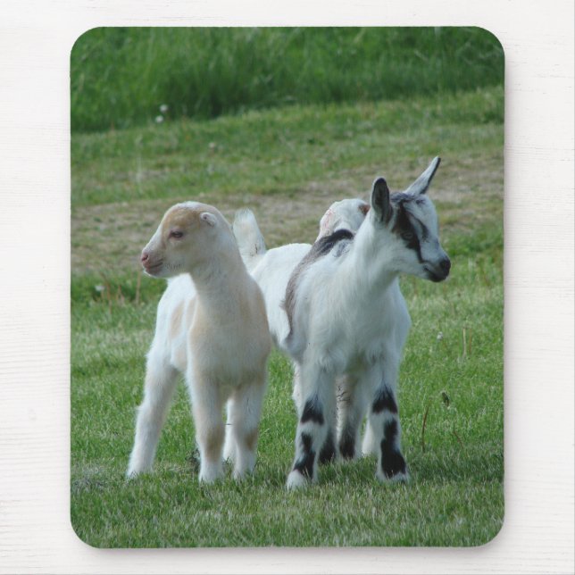 Pippi och Grått Musmatta (Framsidan)