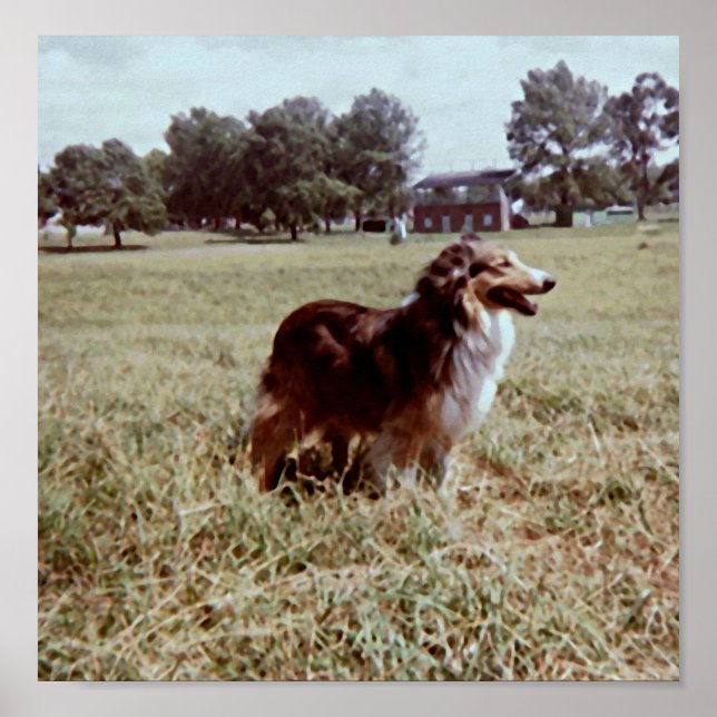 Pippin Poster (Framsidan)