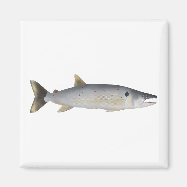 Pirá Yobua Magnet (Framsidan)