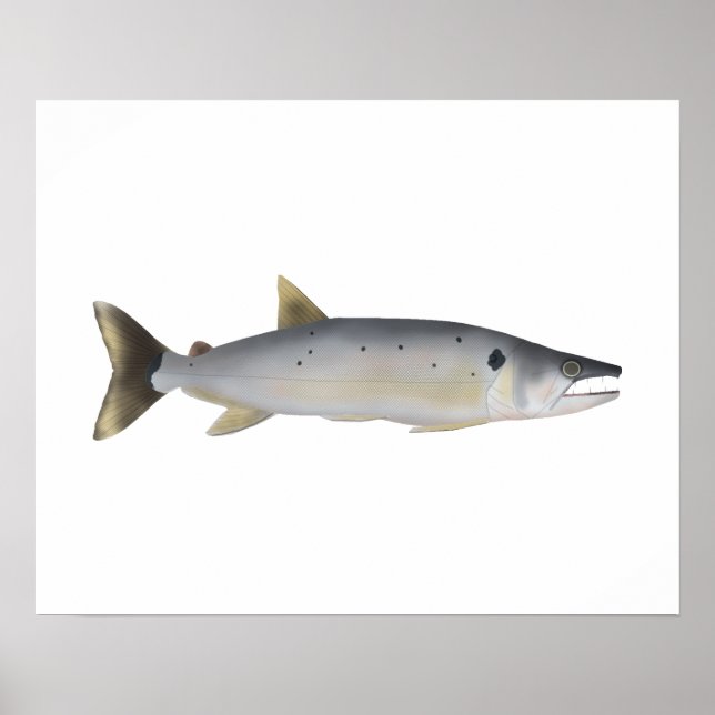 Pirá Yobua Poster (Framsidan)
