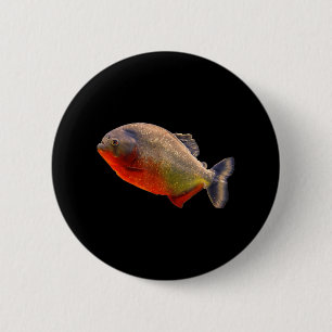 Piranha Red Belllied School of Piranhas Tropical Knapp