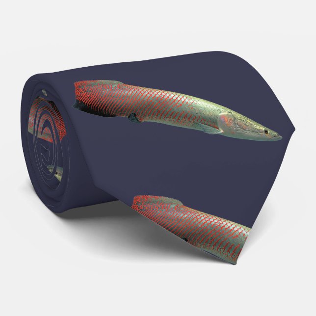 Pirarucu, Arapaima gigas ネ ク タ イ Slips (Rullad)