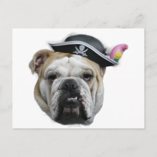 Pirat Bulldog Vykort