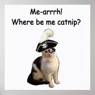 Pirat Cat Poster