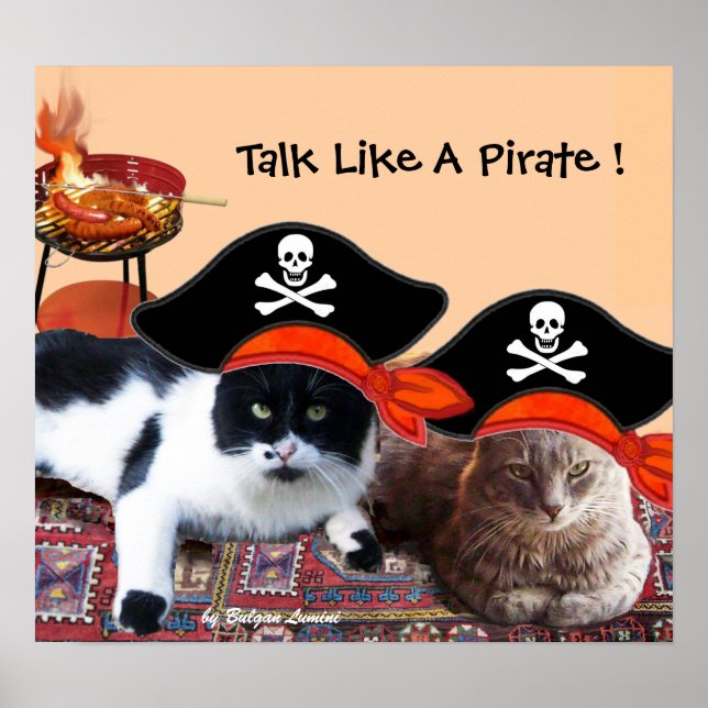 PIRAT CATS, Prata som en pirat BBq Party Poster (Framsidan)