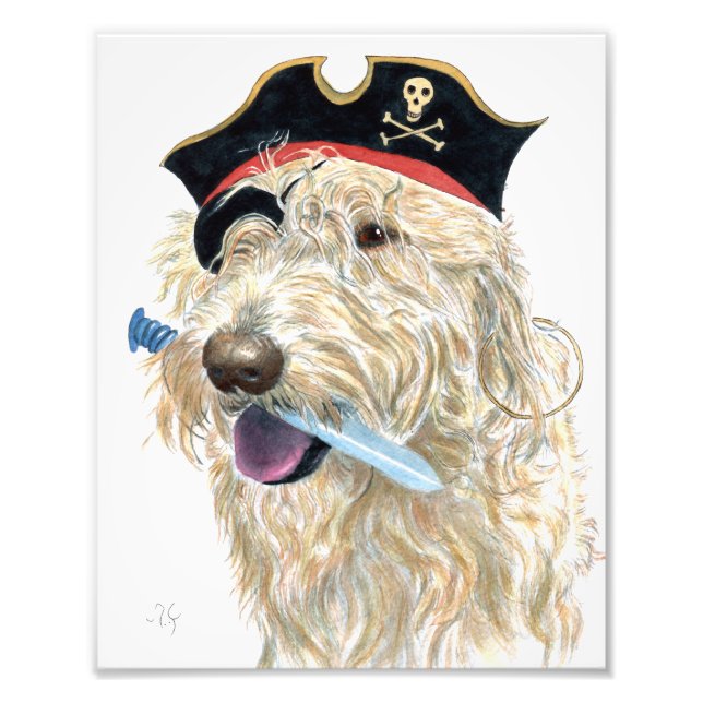 Pirat Cream Labradoodle Fototryck (Framsidan)