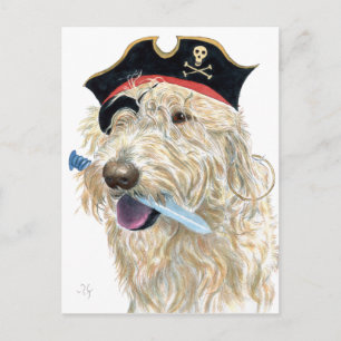 Pirat Cream Labradoodle Vykort