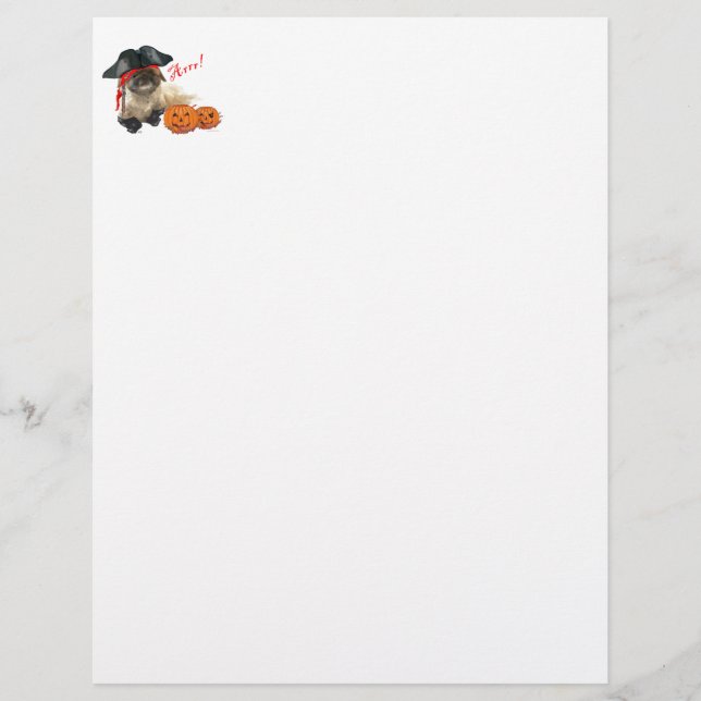 Pirat Doggie (Framsida)