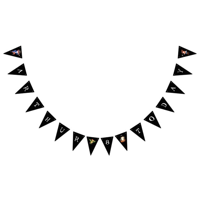 Pirat födelsedag: party skattparrot vimplar (Alla)