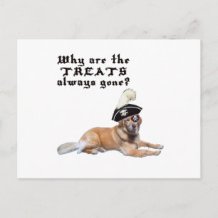 Pirat Hund Treats Vykort