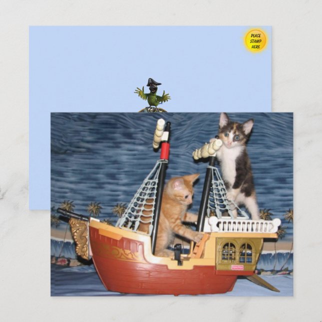 Pirat Kittens vykort (Fram/baksida)