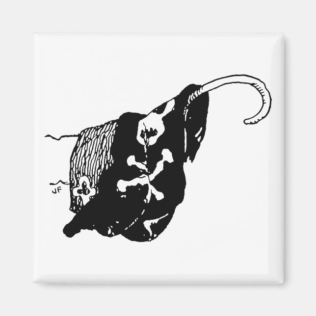 Pirat Krok Magnet (Framsidan)