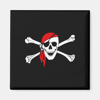 Pirat_Magnet2(S) Magnet