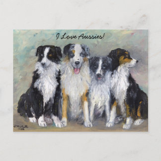 Pirat och döttrar - Australian shepherd Vykort
