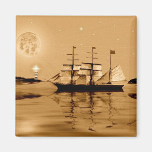 PiratCove Magnet