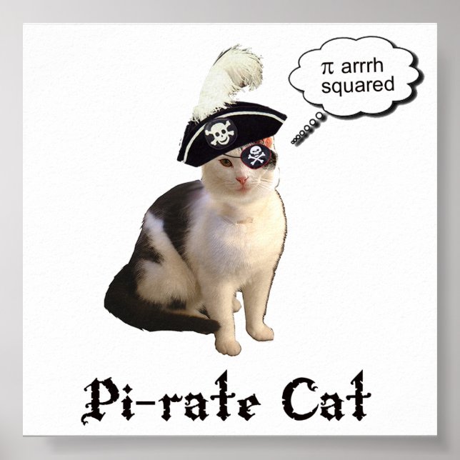 PiRateCat Poster (Framsidan)