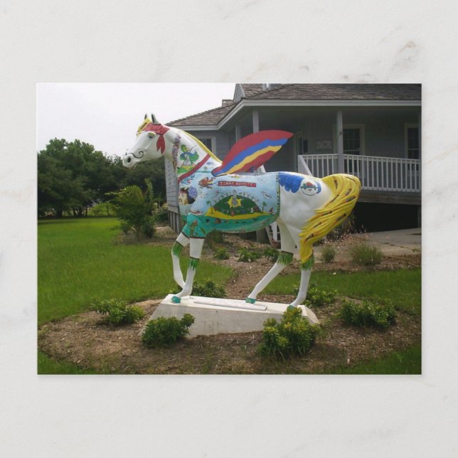 Pirathäst Vykort (Framsida)