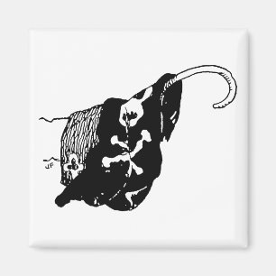 Piratkrok Magnet
