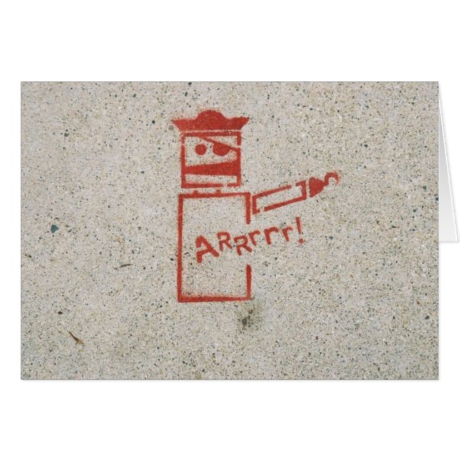 Piratrobot OBS Kort (Framsidan Horizontal)