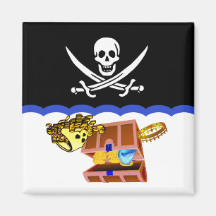 Pirattema: Rengöringen smutsar ner diskaremagnete Magnet