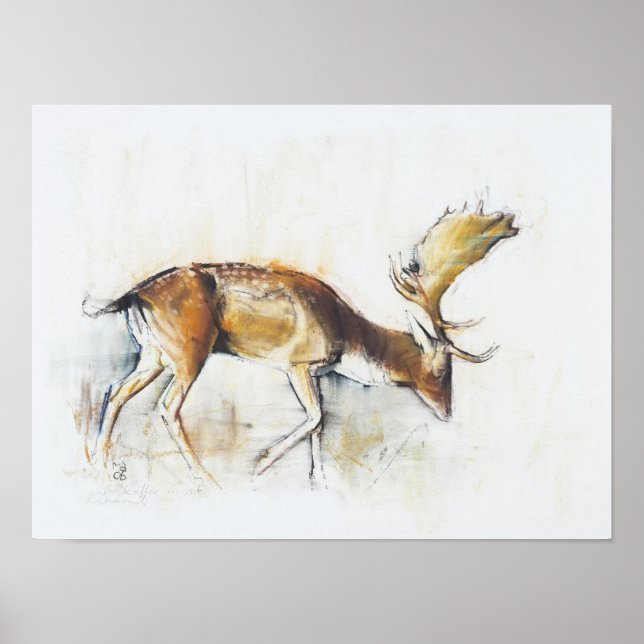 Pisanello Buck 2006 Poster (Framsidan)