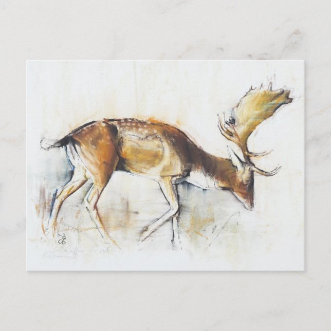 Pisanello Buck 2006 Vykort (Framsida)