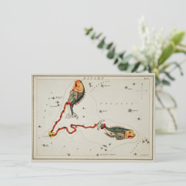 Pisces astronomiska Stjärntecknet Zodiac Birthday  Julkort (Stående Fram)