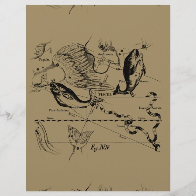 Pisces Constellation Hevelius 1690 Decor (Framsida)