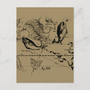 Pisces Constellation Hevelius 1690 Decor Vykort