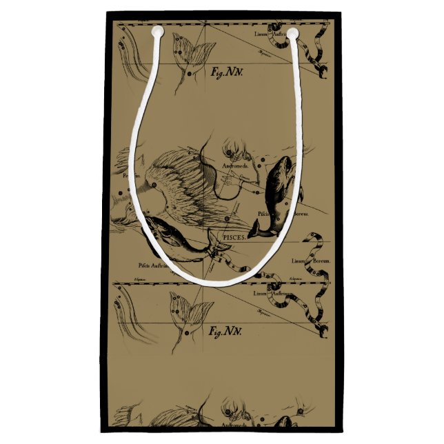 Pisces Constellation Hevelius 1690 Feb19-March 20 (Framsidan)