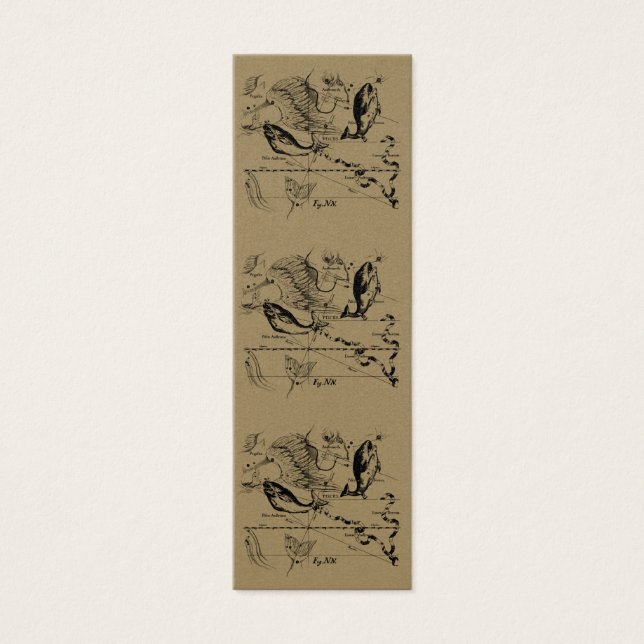 Pisces Constellation Hevelius 1690 Feb19-March 20 Litet Visitkort (Framsidan)