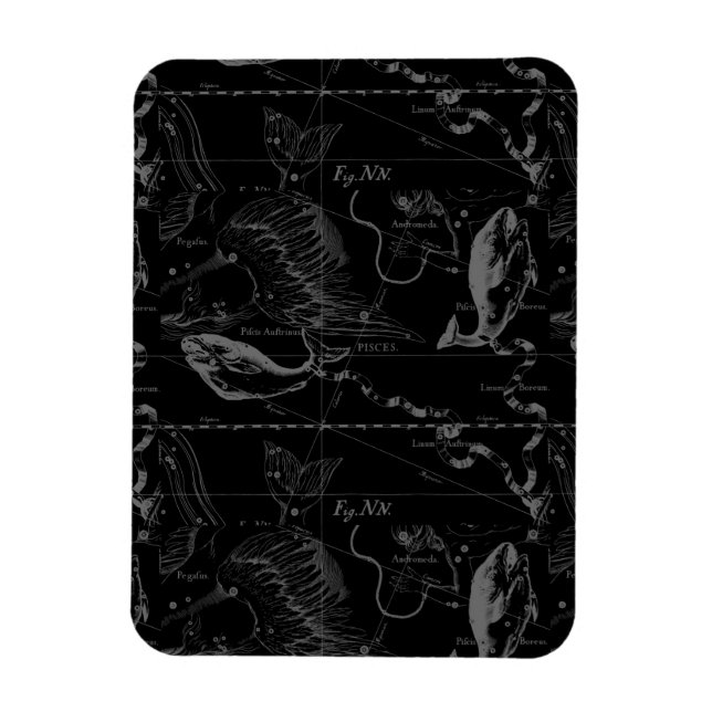 Pisces Constellation Hevelius 1690 on Black Magnet (Vertikal)